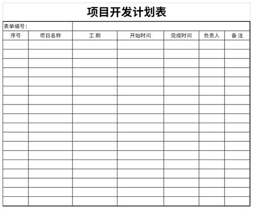 项目管理--软件开发计划(软件项目交付开发计划) 软件优化