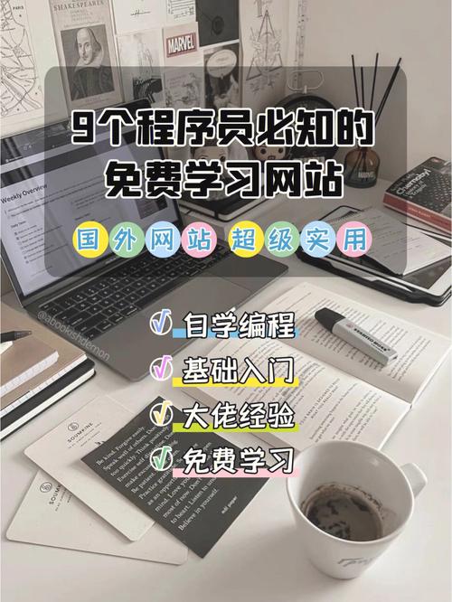 10个免费且高水平的AI编程学习资源网站(学习编程课程资源网站免费) 软件开发