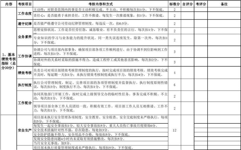 软件项目团队绩效考核与薪酬激励(项目工作团队激励考核) 软件优化