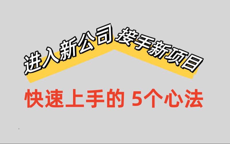 接手新项目，如何快速上手？(产品公司行业都是去了) 软件优化