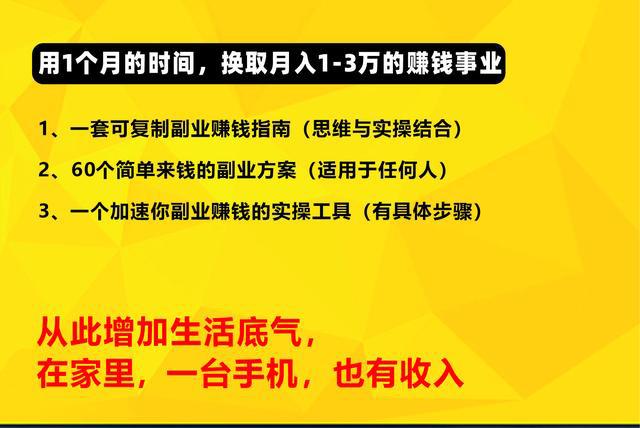 想干副业？人人都需要的B计划：副业之IT开发篇(副业开发人人都平台外包) 软件优化