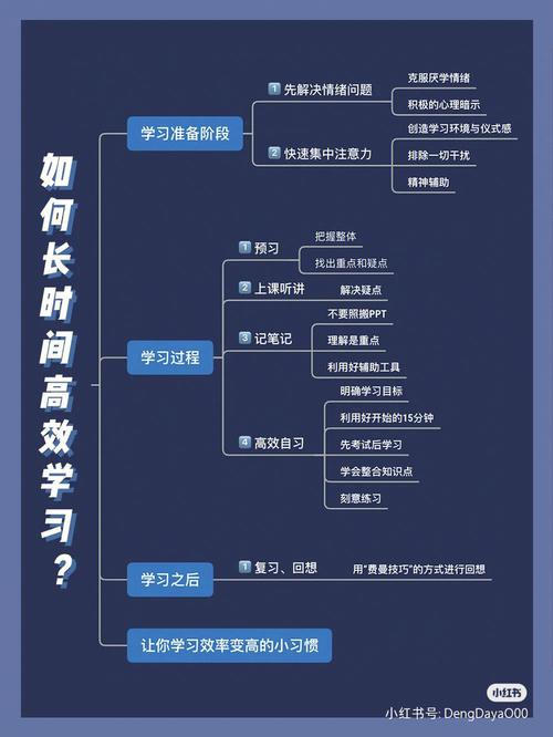 怎么入门学习效率更高？(互联网转行的人学习开发) 99链接平台