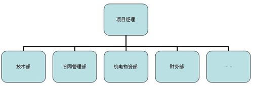 兼论项目经理的“棋子”作用(项目评价项目经理组织软件) 软件优化