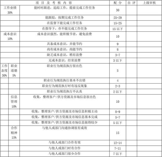 最实用软件开发团队绩效管理制度(项目考核项目经理考核表技术资料) 99链接平台