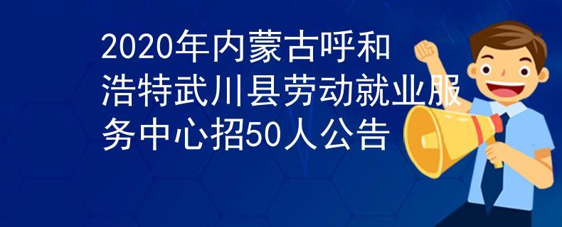 武川县劳动就业服务中心关于 公益性岗位招聘劳动保障协理员的公告(协理员劳动就业岗位劳动保障人员) 软件开发