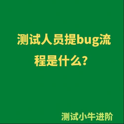 软件开发行业为何 Bug 纷飞？(工作开发软件测试会议) 软件优化