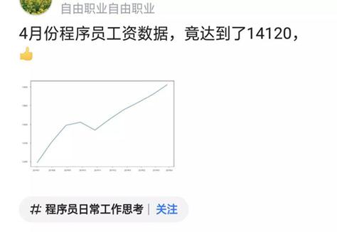 揭秘：程序员的工资为什么这么高？原来是因为这4个原因(程序员是因为自己的工资需求) 软件优化