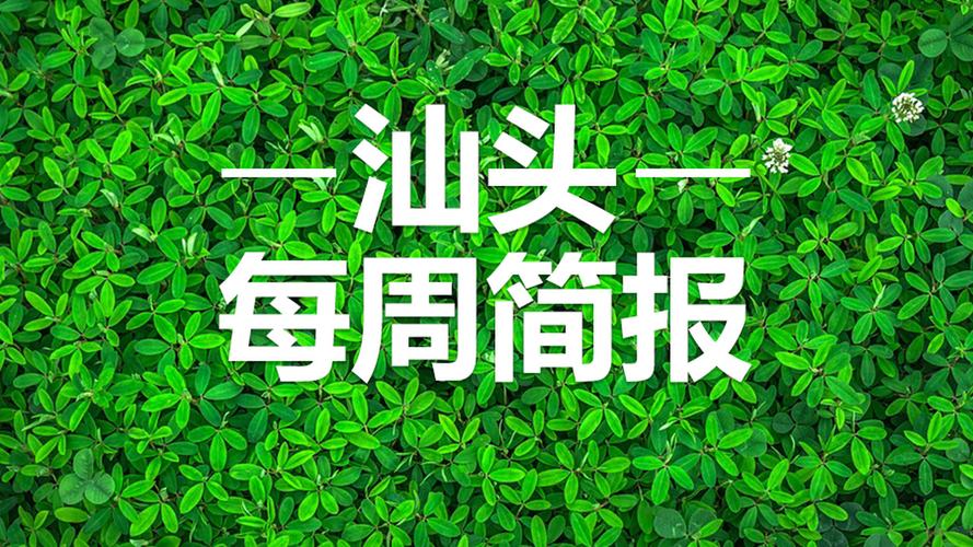 点绿成金！一季度汕头绿色贷款余额同比增长 35.1%(贷款金融同比增长百灵鸟余额) 软件开发