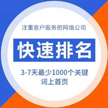 SEO网站推广、VIS设计、网站建设推广选山西桦森信(互联网网站链接用户网站推广) 排名链接