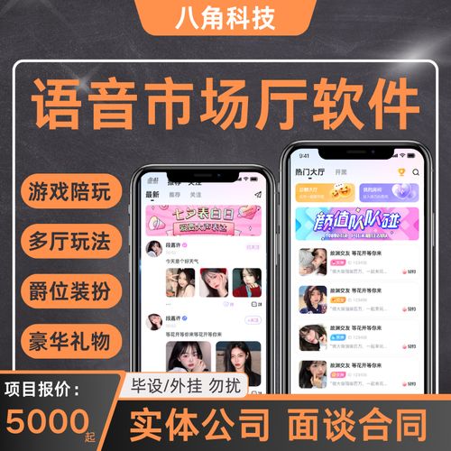 河北APP开发公司(开发公司还能多人多体验) 99链接平台