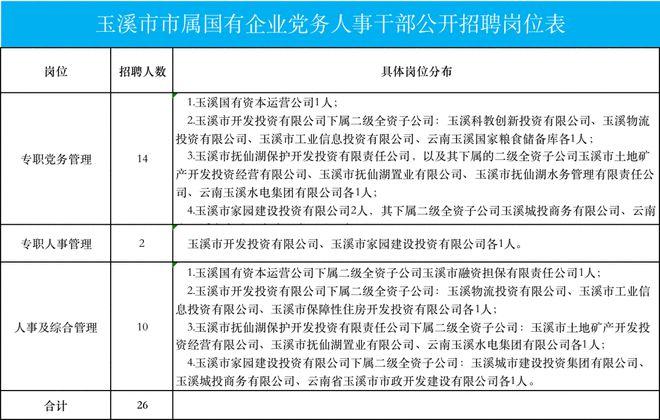 玉溪市市属国有企业2021年公开招聘党务干部人事干部公告(聘用人员岗位招聘报考) 99链接平台