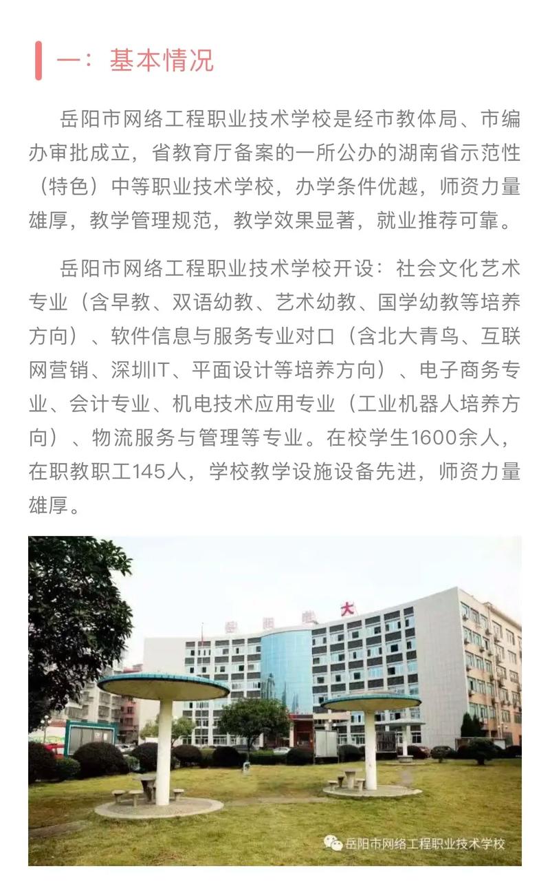 岳阳市网络工程职业技术学校(学校学生专业方向软件) 软件开发