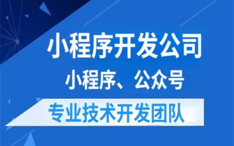 广州小程序定制开发制作(开发公司程序网络科技定制) 软件开发