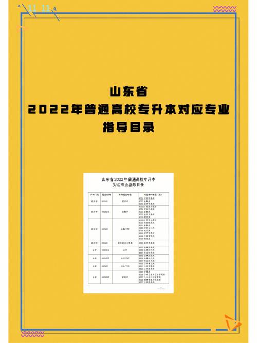 山东专升本计算机30步学会网络制作？(视图网页站点模式表格) 排名链接