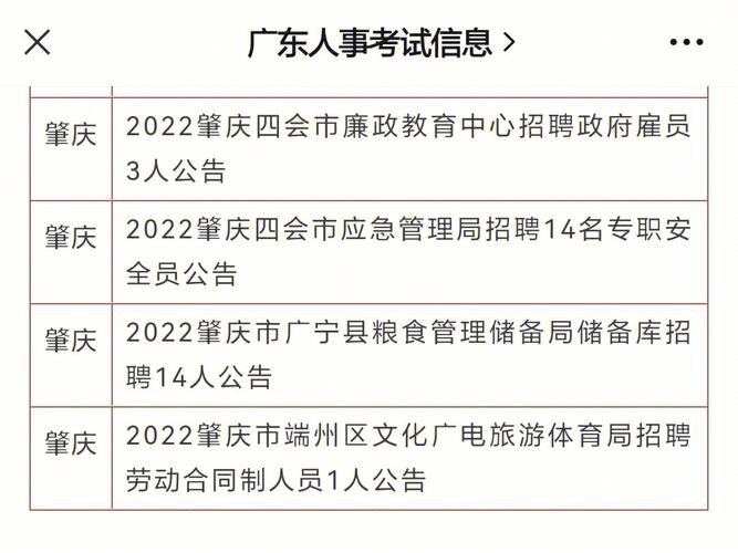 2023中共肇庆高新开发区工作委员会政法委员会招聘政府雇员公告(报考面试人员工作雇员) 软件优化