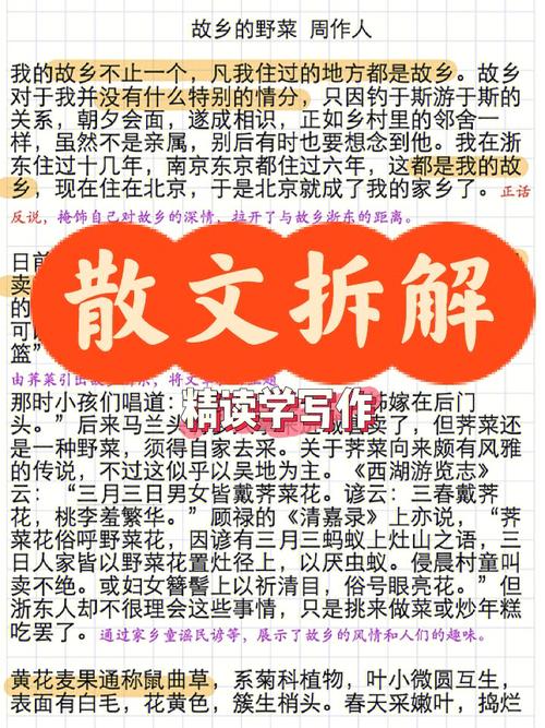 本期话题：胡竹峰：三十岁后不看才华看作品(写作散文才华语言辽沈晚报) 99链接平台