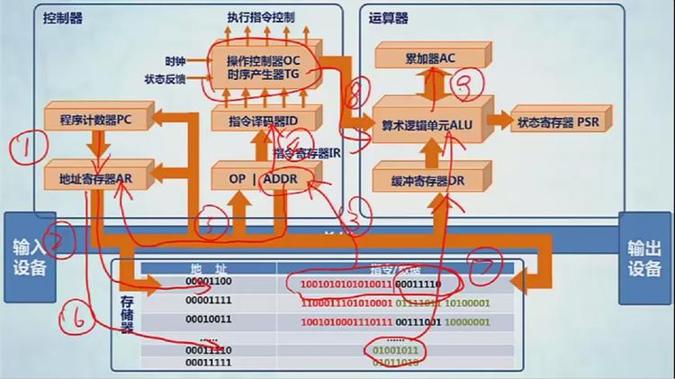 程序员学习 CPU 有什么用？(指令指令集架构执行并行) 软件开发