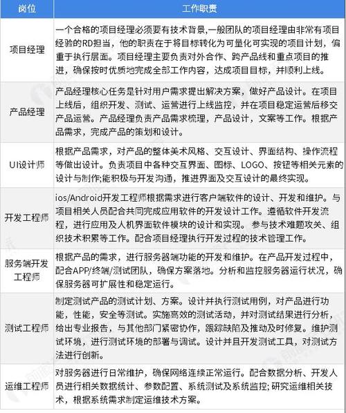 10个顶级软件开发人员原则(错误开发人员事情功能代码) 软件优化