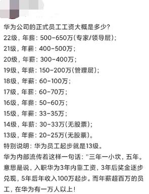 华为的程序员，告诉你程序员工资多少？年薪有没有40万(华为程序员职场年薪工资) 软件开发