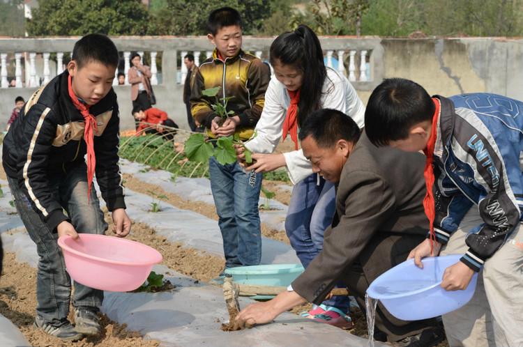 澧县弘毅学校：开发蔬菜种植课程 提升劳动教育实效(劳动教育学校实效劳动课程) 软件优化