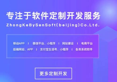 北京 app定制开发外包(外包开发企业定制时间) 排名链接