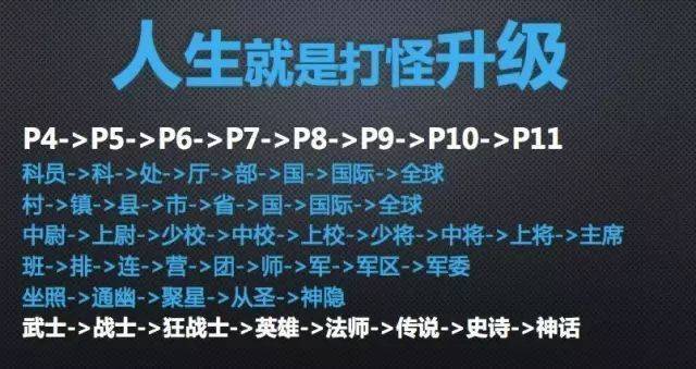 如何“打怪升级”(开发者技术程序员趋势自己的) 排名链接