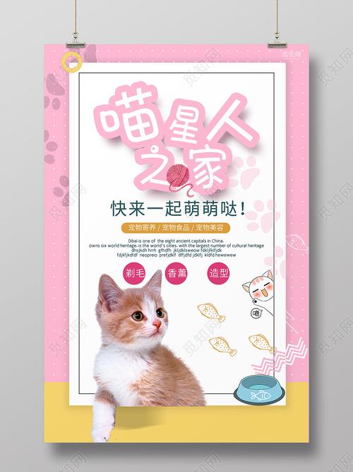 潮州网络推广(网络推广产品创意排版小猫) 软件开发