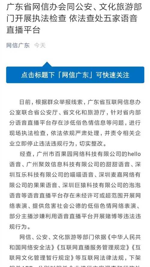 省网信办查处(语音直播平台互联网玩家) 软件开发