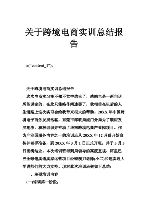 跨境电商实训结论和体会总结(跨境实训认识到风险体会) 99链接平台