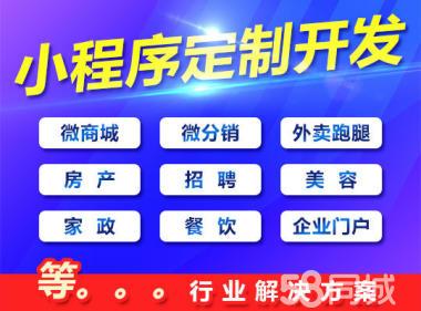 武汉小程序开发公司哪家好？武汉做微信小程序的公司(公司开发程序程序开发软件公司) 软件优化