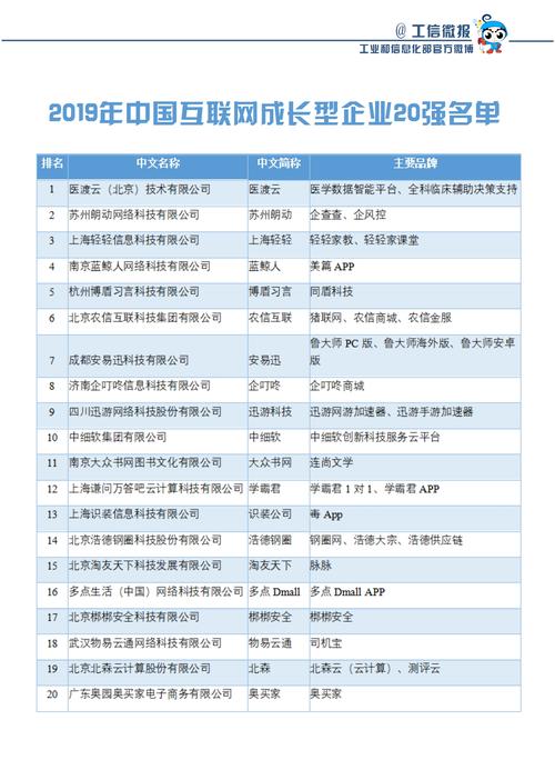 20家企业）(法定代表人编辑器企业互联网年成) 软件优化