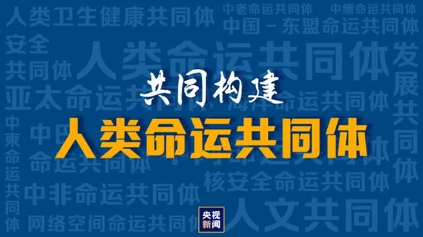 瞭望·治国理政纪事｜加快形成长三角科创共同体(创新科技创新产业共同体发展) 软件开发