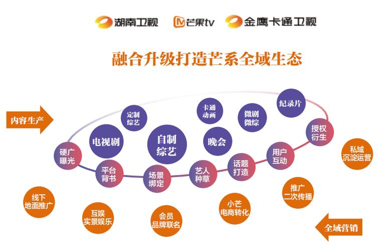 芒果TV如何成为湖南广电的主力军？(芒果广电互联网内容媒体) 软件开发