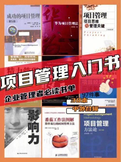 项目管理 | 10年项目经理推荐的一份书单：你认真读过几本？(项目管理项目经理书单本书项目) 99链接平台