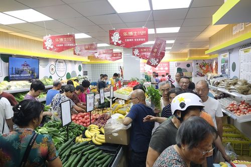 打造“百店进社区”模式，生鲜社区便民店今年底将增至5家(生鲜社区净土小区蔬菜) 软件优化