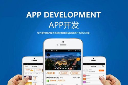 邯郸电商app开发的公司哪家好(公司用户实力选择营销策略) 软件优化