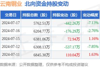 云南铜业股份有限公司非公开发行股票新增股份变动报告及上市公告书摘要(发行铜业公司公开发行股份有限公司) 排名链接