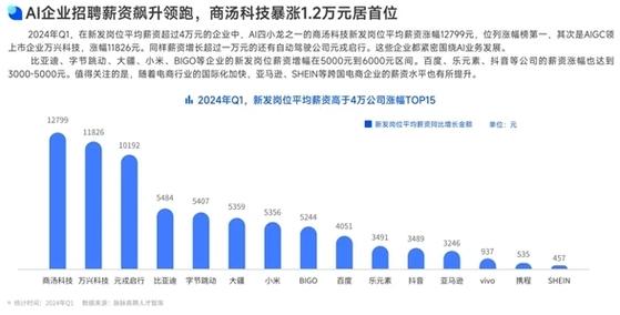 2024年.NET开发者在大厂的薪资待遇怎么样？(薪资开发者技术待遇编辑器) 软件开发