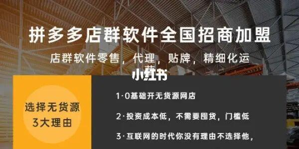 河南川海拼多多无货源店群技术软件加盟培训教学(货源软件一键店铺加盟) 软件优化