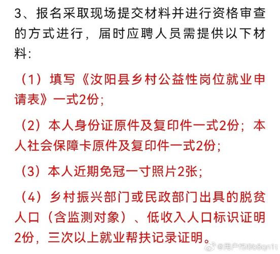 武昌区2024年公开招聘公益性岗位公告(武昌岗位人员协理员笔试) 软件开发