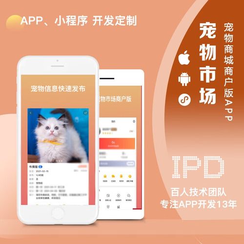 石家庄app定制 开发(定制开发企业小猫需求) 99链接平台