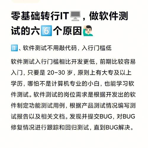 零基础转行IT程序员学什么好？(测试豆豆转行软件程序员) 软件开发