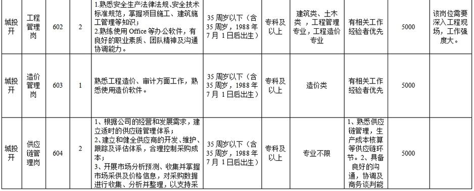 智行新能科技（安徽）有限公司招聘简章(任职资格亿元以上学历岗位具备) 软件开发