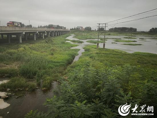 吸引近25万余人参与巡河(管护日照大众网建设积水) 排名链接