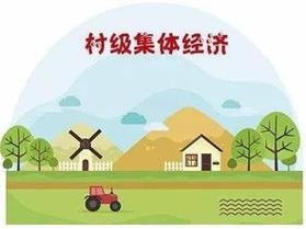 还要做“百村找房”App，什么来头？(奉贤资产农村集体经济帮扶) 软件优化