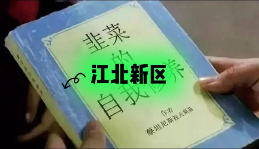 新区首家！行业领头！南京江北新区首家企业获“绿色应用软件认证”(新区认证首家行业应用软件) 软件优化