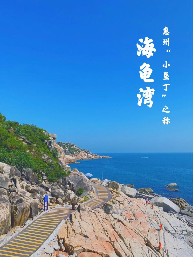 《一周惠州旅游计划》 **第一天(你可以在这里海龟海鲜公园) 99链接平台