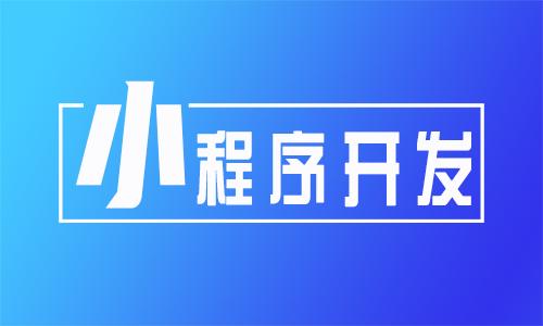 瑞智恒联小程序定制开发(程序开发定制程序开发费用) 排名链接