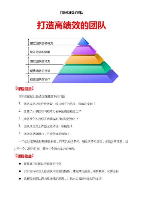 如何打造高绩效团队：来自技术管理者的经验分享(团队管理者每个人组织自己的) 软件优化