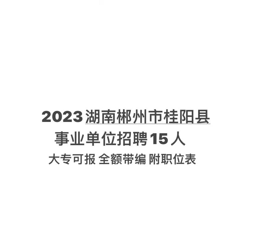 2023湖南郴州桂阳县工业园建设开发有限公司招聘9人公告(人员岗位报考体检笔试) 软件开发